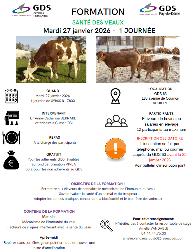 Capture dcran 2026 01 08 090534