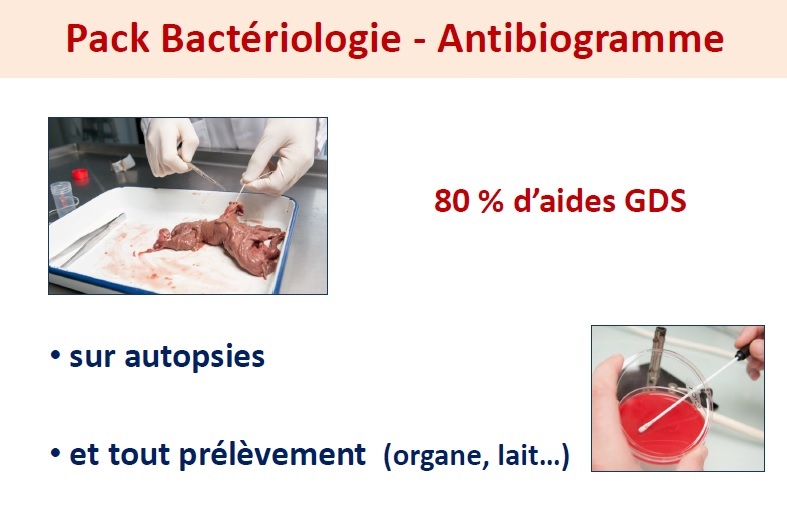Pack Bactériologie Antibiogramme
