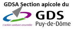 logo GDSA